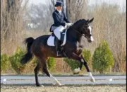 Quiz Quiz Galop 4
