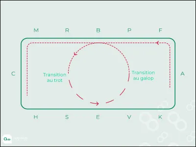 Quelle est cette figure ? (sans les transitions)
