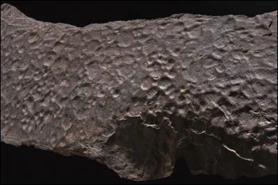 Dans quel pays a-t-on découvert des gouttes de pluie fossilisées datant de plusieurs millions dannées ?