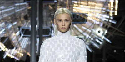 Quelle est la couleur préférée de Félix ?