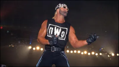 En 1996, Hogan fait partie de la "World Championship Wrestling" (WCW). Il rend son personnage....