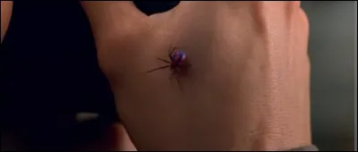 Quel lycéen se fait piquer par une araignée en visitant un laboratoire avec sa classe ?