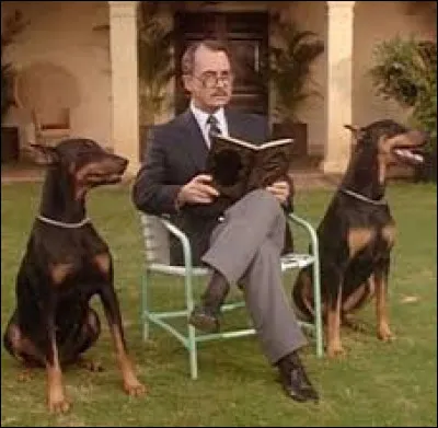 Dans quelle série des années 80 voit-on deux dobermans nommés Zeus et Apollon ?