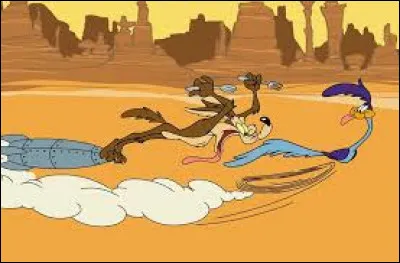 Quel est le nom de l'oiseau que rêve d'attraper Vil Coyote ?