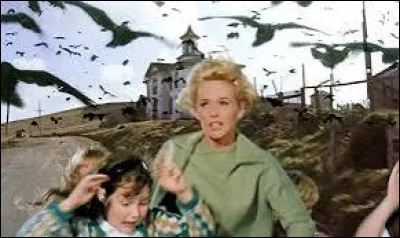Qui a réalisé le film "Les Oiseaux" en 1963 ?