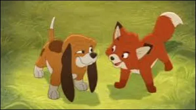 Dans quel long métrage d'animation voit-on des liens d'amitié se créer entre un renardeau et un jeune chien ?