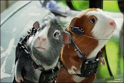 En 2009, quels rongeurs sont les héros du film "Mission-G" ?