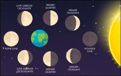 Le pape Grégoire XIII s'adressa à l'astronome Luigi Giglio pour améliorer le calendrier julien qui proposait tous les 400 ans de décaler de trois jours les années. Quelle autre amélioration apporte le calendrier grégorien ?