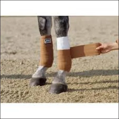 Comment s'appellent ces protections ?