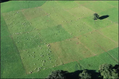 Combien de temps un cheval passe-t-il à manger ?