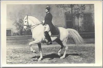 Que fait ce cheval ?