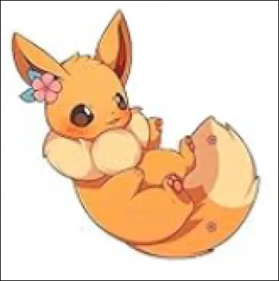 Quel est ton type de Pok&eacute;mon pr&eacute;f&eacute;r&eacute; ?