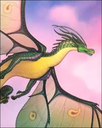 D'où vient son nom français ?