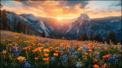 Quelles couleurs préfères-tu dans un lever de soleil ?