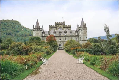 Quel est le titre de Shrimpy ?