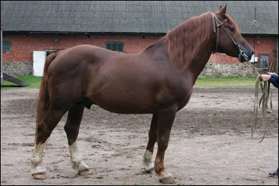 Quelle est cette robe ?