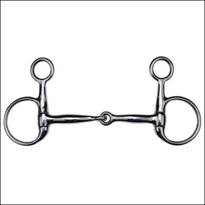 Quel est ce mors ?