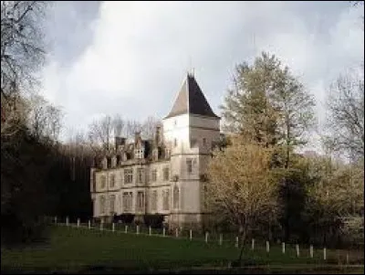 Voici le château de Domecy-sur-le-Vault. Petit village Icaunais de 85 habitants, il se situe dans l'ex région ...