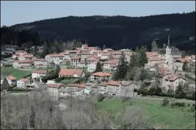 Commune de l'aire d'attraction Stéphanoise, dans le parc naturel régional du Pilat, Planfoy se situe dans le département ...