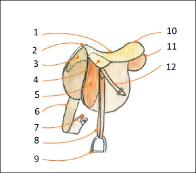 Quel est le numéro 9 ?
