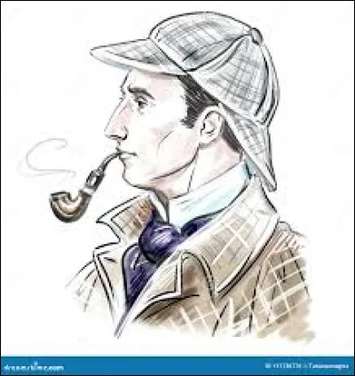 Quels animaux Holmes va-t-il étudier durant ses dernières années ?