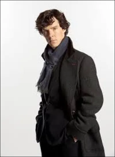 Quel personnage accompagne Sherlock dans ses aventures ?