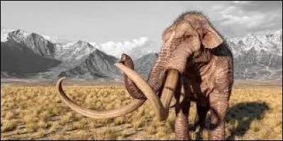 Pour quelle raison les humains chassaient-ils essentiellement le mammouth ?