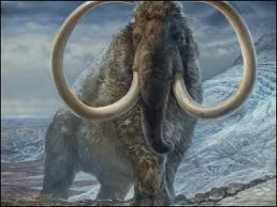 Laquelle de ces évolutions vient de leur adaptation au froid ?