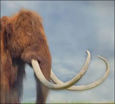 En quelle année le génome du mammouth a-t-il été séquencé pour la première fois ?