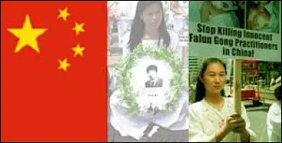 Quel parti allemand le Falun Gong soutient-il ?