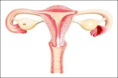 Le plus souvent, mais pas de manière exhaustive, quand est-on touché par ce cancer ?