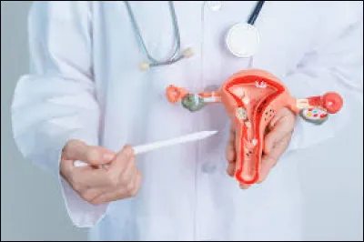 Dans le traitement de quel cancer le tamoxifène est-il employé ?