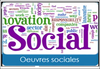Quelle est la finalité principale des uvres sociales selon le décret n° 82-179 ?