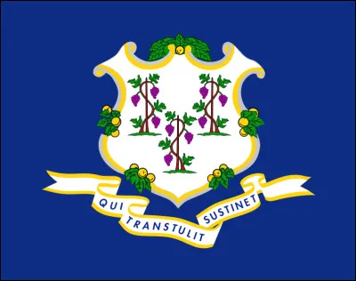À quel État appartient ce drapeau ?