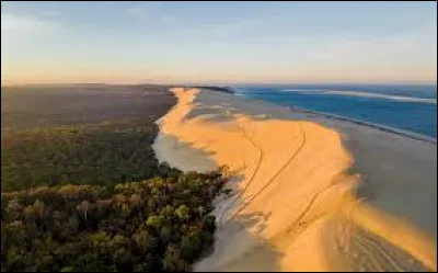 Géographie : Dans quel département se situe la dune du Pilat qui est la plus haute dune d'Europe ?