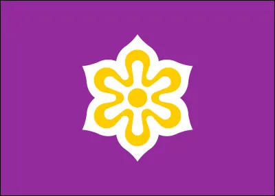 À quelle préfecture japonaise appartient ce drapeau ?