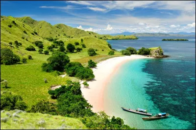 Florès est une île...