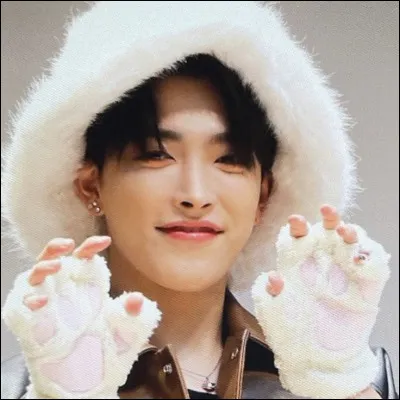 Si tu devais être avec un artiste comme Hongjoong, tu serais...