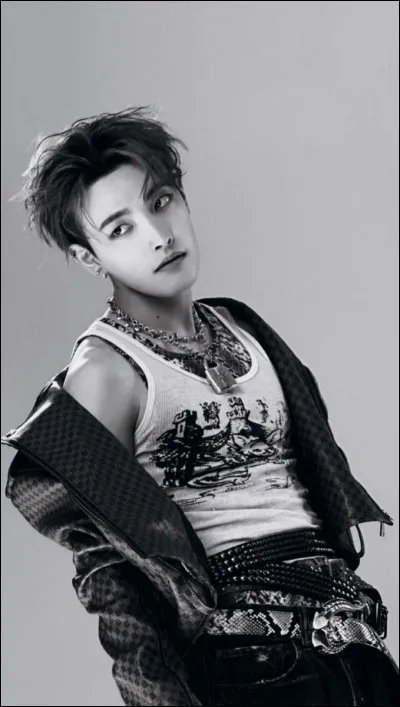 Tu préfères un petit ami qui...