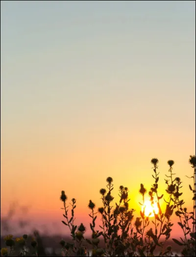 Quel pays est surnommé le "Pays du Soleil-Levant" ?