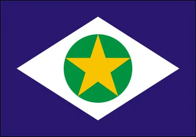 À quel État appartient ce drapeau ?