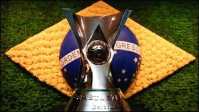 Comment sappelle le championnat du Brésil de football ?