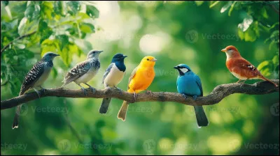 Comment dit-on "oiseau" en anglais ?