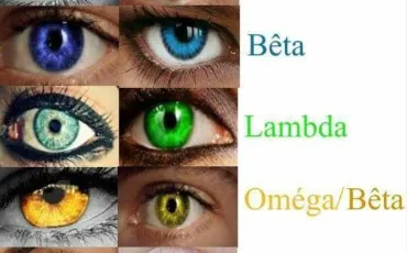 Quiz Couleurs