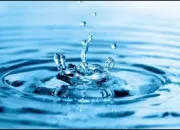 Quiz Tous  l'eau