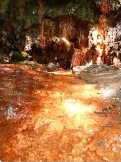 "L'alcool, non mais l'eau ferrugineuse oui ! " : quel humoriste prononça ces mots dans un sketch resté célèbre ?