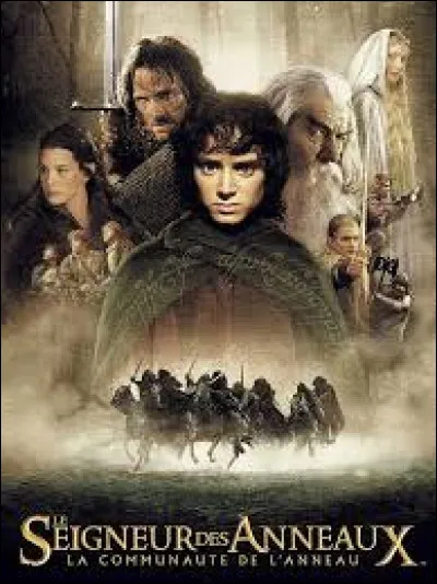 Que désigne "l'Eau", dans le roman de J.R.R. Tolkien "le Seigneur des anneaux" ?