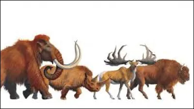 Parmi ceux-là, quel animal vivait à la Préhistoire ?