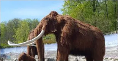 Et enfin, quel est l'animal le plus préhistorique ?