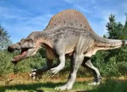 Quiz Les dinosaures !